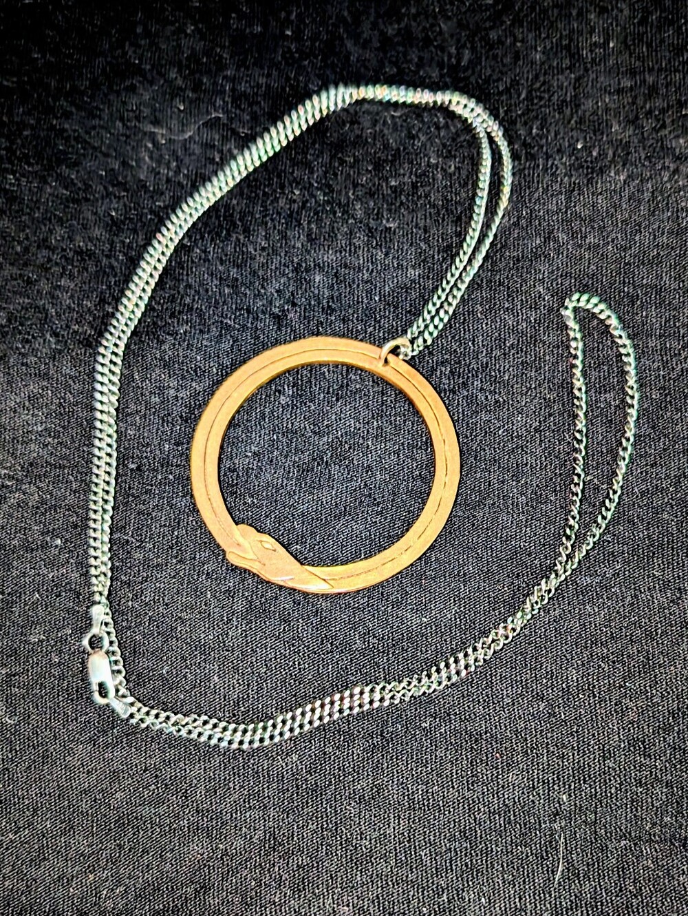 Missy Industry Mixed Metals Ourobouros Long Necklace